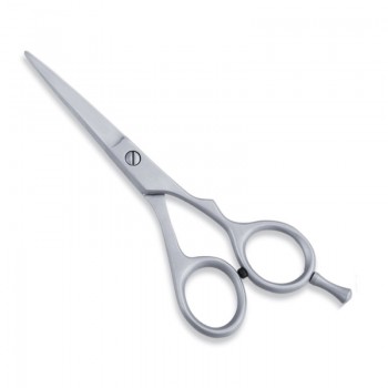 Economy Hair Scissors